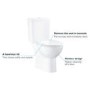 Close Coupled Rimless Toilet with Soft Close Seat - Grohe Bau Closed Back