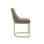 ALMOST PERFECT - Set of 2 Mink Velvet Dining Chairs with Gold Legs - Callie