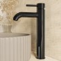 Black Chrome Tall Mono Basin Mixer Tap - Arissa