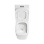 Close Coupled Back to Wall Rimless Toilet with Soft Close Seat and Square Chrome Flush Button - Albi