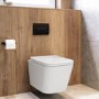 Wall Hung Toilet with Soft Close Seat, Pneumatic Black Flush Plate, 820mm Frame & Cistern - Albi