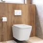 Wall Hung Toilet with Soft Close Seat, White Glass Sensor Flush Plate, 820mm Frame & Cistern - Albi