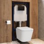 Wall Hung Toilet with Soft Close Seat, Pneumatic Black Flush Plate, 1168mm Frame & Cistern - Albi