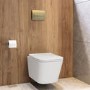 Wall Hung Toilet with Soft Close Seat, Pneumatic Brushed Brass Flush Plate, 1168mm Frame & Cistern - Albi