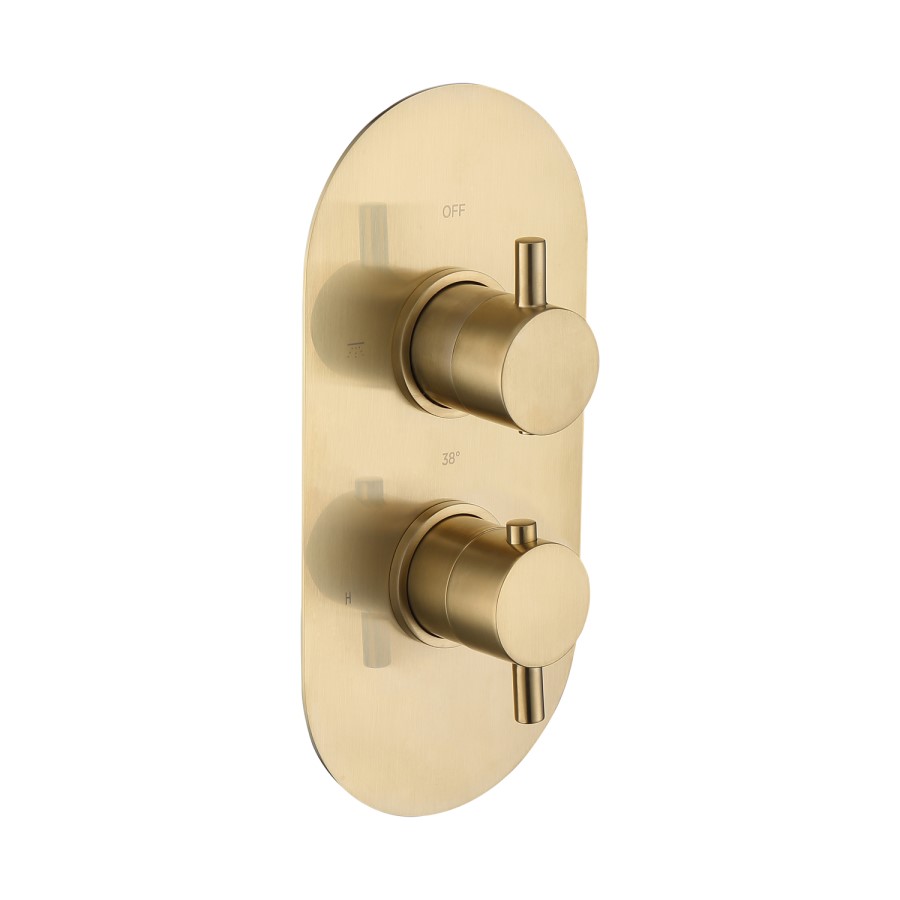 Brushed Brass 2 Outlet Wall Mounted Thermostatic Mixer Shower Set With Hand Shower - Arissa
