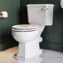 Traditional Brass Freestanding Bath Suite with Toilet & Basin - Park Royal