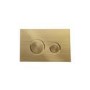 Wall Hung Rimless Toilet with Soft Close Seat, Brushed Brass Mechanical Flush Plate, 1168mm Frame & Cistern – Alcor