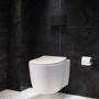 Wall Hung Rimless Toilet with Soft Close Seat, Black Mechnical Flush Plate, 1168mm Frame & Cistern – Alcor