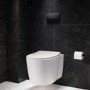 Wall Hung Rimless Toilet with Soft Close Seat, Matt Black Pneumatic Flush Plate, 1168mm Frame & Cistern – Alcor
