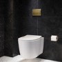 Wall Hung Rimless Toilet with Soft Close Seat, Brushed Brass Pneumatic Flush Plate, 1168mm Frame & Cistern – Alcor