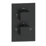 Black 1 Outlet Ceiling Mounted Thermostatic Mixer Shower Set - Zana