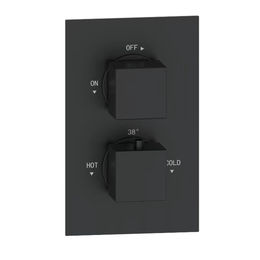 Black 1 Outlet Ceiling Mounted Thermostatic Mixer Shower Set - Zana
