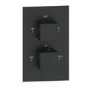 Black 2 Outlet Wall Mounted Thermostatic Mixer Shower Set with Hand Shower - Zana