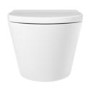 Wall Hung Rimless Toilet with Soft Close Seat, Chrome Pneumatic Flush Plate, 820mm Frame & Cistern – Newport