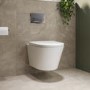 Wall Hung Rimless Toilet with Soft Close Seat, Chrome Pneumatic Flush Plate, 820mm Frame & Cistern – Newport