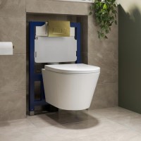 Wall Hung Rimless Toilet with Soft Close Seat, Brushed Brass Pneumatic Flush Plate, 820mm Frame & Cistern – Newport