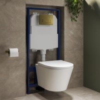 Wall Hung Rimless Toilet with Soft Close Seat, Brushed Brass Pneumatic Flush Plate, 1168mm Frame & Cistern – Newport