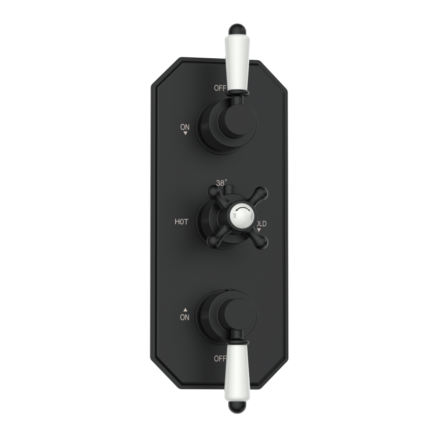 Black 2 Outlet Ceiling Mounted Thermostatic Mixer Shower Set with Hand Shower - Cambridge