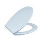 Wall Hung Toilet with Soft Close Toilet Seat, Brushed Bronze Pneumatic Flush Plate, 1168mm Frame & Cistern - Alcor