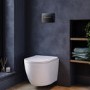Wall Hung Rimless Toilet with Soft Close Seat, Gunmetal Pneumatic Flush Plate, 1168mm Frame & Cistern – Roma