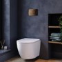 Wall Hung Rimless Toilet with Soft Close Seat, Brushed Bronze Pneumatic Flush Plate, 1168mm Frame & Cistern – Roma