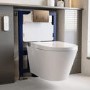 Elira Wall Hung Toilet with Smart Bidet &  Brushed Bronze Pneumatic Flush Plate 820mm Frame &  Cistern - Purificare