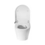 Wall Hung Smart Bidet Japanese Toilet with Heated Seat & Brushed Bronze Pneumatic Flush Plate, 1168mm Frame & Cistern - Purificare