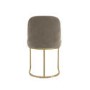 Set of 2 Mink Velvet Dining Chairs with Gold Legs - Callie