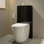 Back to Wall Smart Bidet Japanese Toilet with Black Glass Cabinet, Cistern & Pneumatic Dual Flush Button - Purificare