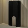 Black Back to Wall Toilet with Black Glass Cabinet, Cistern & Pneumatic Dual Flush Button - Albi