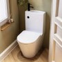Close Coupled Closed Back Toilet with Sink on Top & Black Fittings - Legend