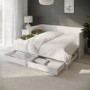 Double Wooden Day Bed with Trundle Storage and 2 Mattresses - Lincoln
