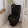 Matt Black Close Coupled Closed Back Toilet with Brass Fittings & Sink on Top - Legend