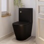 Matt Black Close Coupled Closed Back Toilet with Sink on Top & Brass Fittings Cloakroom Suite - Legend