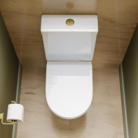 Close Coupled Rimless Closed Back Short Projection Toilet with Brushed Brass Button and Tornado Flush - Newport