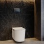 Fluted Wall Hung Rimless Toilet with Soft Close Seat, Gunmetal Pneumatic Flush Plate, 1168mm Frame & Cistern – Oregon