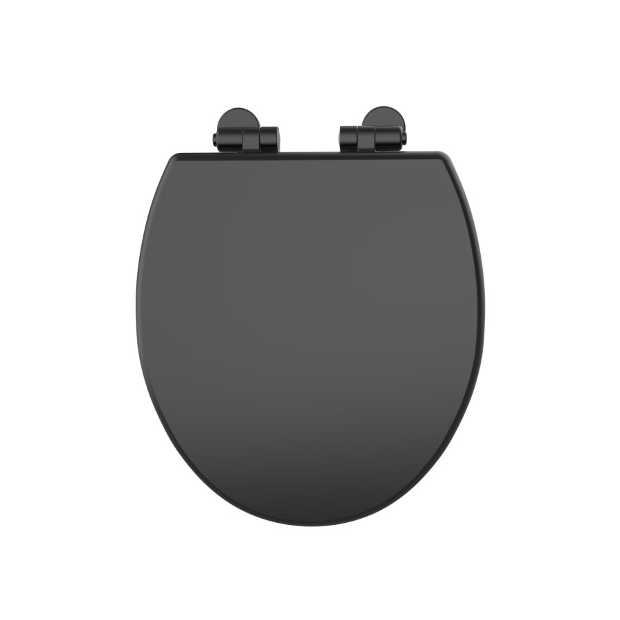Back to Wall Traditional Toilet with Black Wooden Soft Close Seat - Park Royal