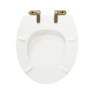 Close Coupled Traditional Toilet with Wooden Soft Close Seat & Brass Fittings - Park Royal