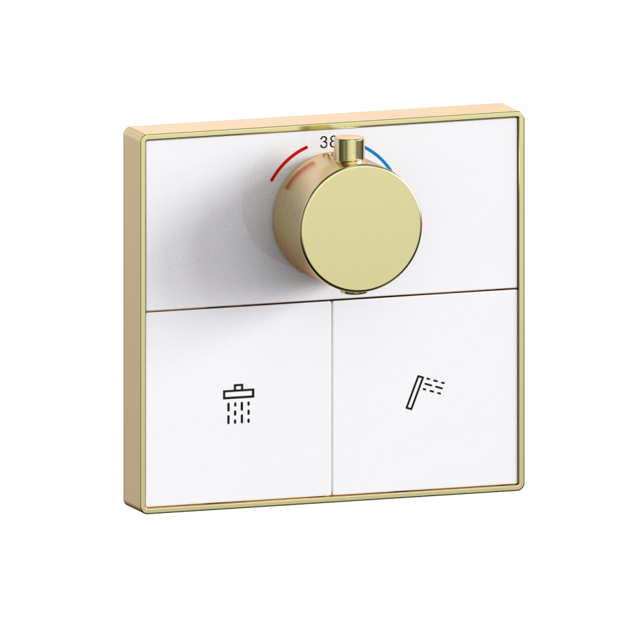 Brushed Brass 2 Outlet Concealed Mixer Shower Set With Hand Shower - Priya