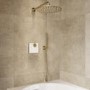 Brushed Brass 2 Outlet Concealed Mixer Shower Set With Hand Shower - Priya