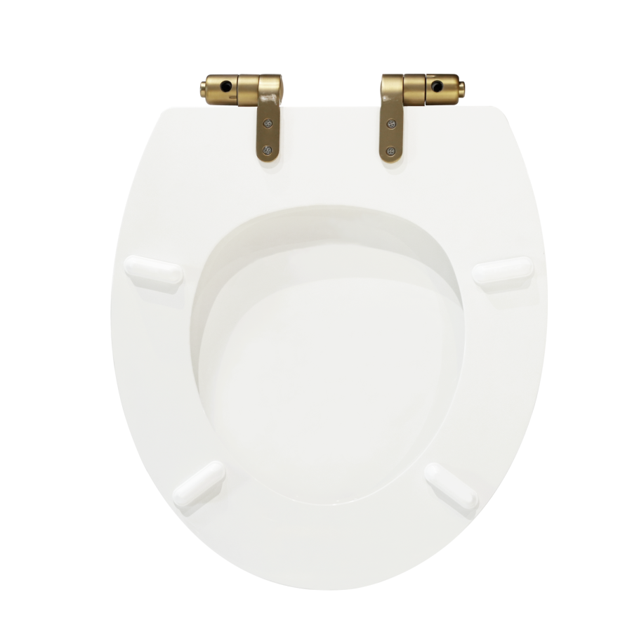 Back to Wall Traditional Toilet with Wooden Soft Close Seat & Brass Hinges - Park Royal