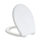 Back to Wall Rimless Toilet and Soft Close Seat - Ripley