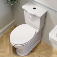 Close Coupled Rimless Toilet with Soft Close Seat and Matt Black Fittings - Ripley
