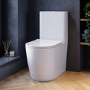 Close Coupled Toilet and Basin Suite - Roma