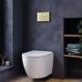 Wall Hung Rimless Toilet with Soft Close Seat, Brushed Brass Mechanical Flush Plate, 1168mm Frame & Cistern – Roma