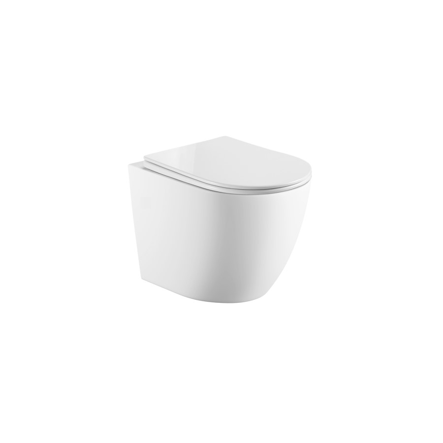 Wall Hung Rimless Toilet & Grohe Frame Cistern and Chrome Flush Plate - Roma