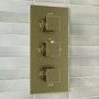 Brushed Brass 2 Outlet Wall Mounted Thermostatic Mixer Shower Set with Hand Shower - Zana