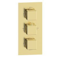Brushed Brass 2 Outlet Concealed Thermostatic Shower Valve With Triple Control - Zana