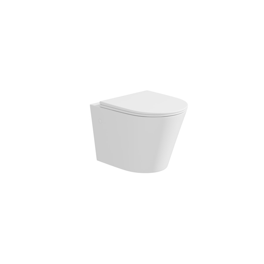 Matt White Soft Close Toilet Seat with Quick release - Verona