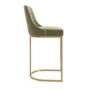 Set of 2 Sage Green Velvet Kitchen Stools with Gold Legs - Callie